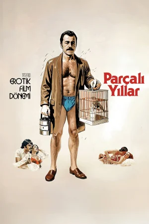 Parçalı Yıllar